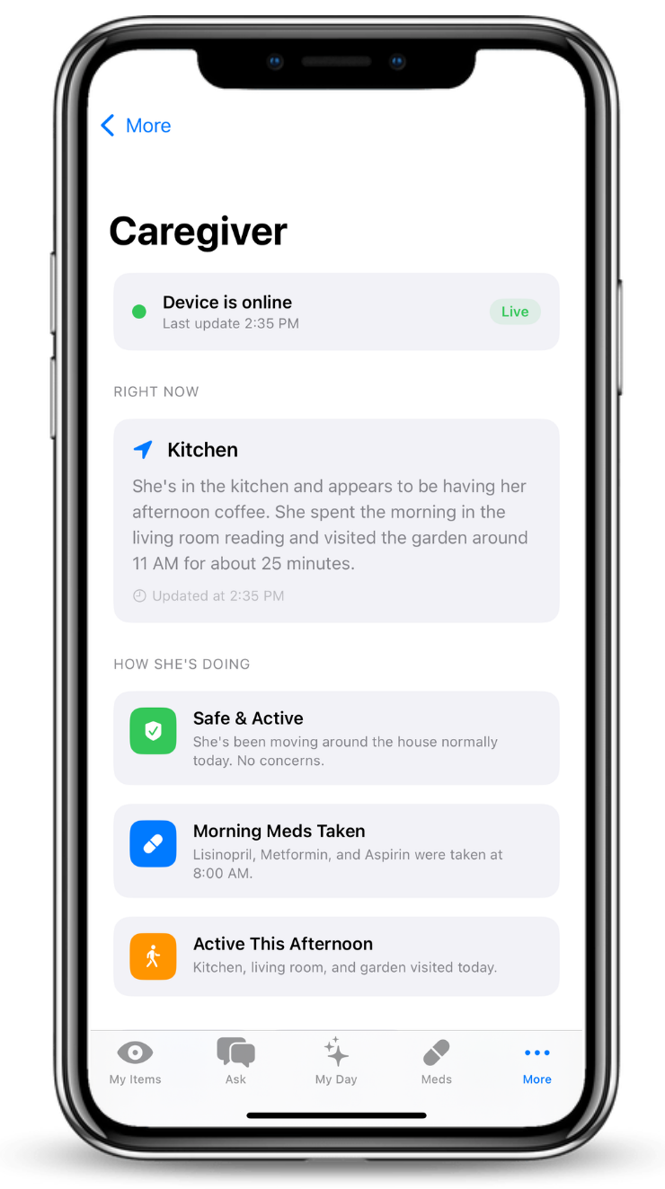 Caregiver app view showing Remy activity and summaries